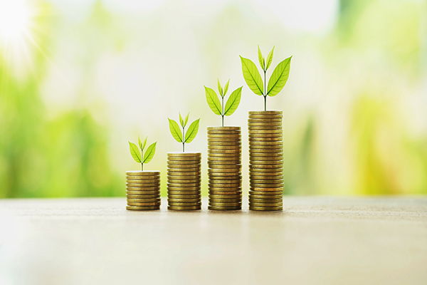 plants growing out of stacked coins